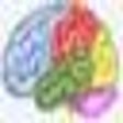 Icono de programa: Brain Workshop Portable