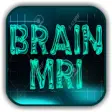 Icon of program: MRI - Regional Anatomy of…