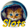Icono del programa: Cats Casino Video Slots