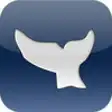 Icon of program: WhaleGuide for iPhone