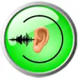 Icon of program: Tinnitus Describer