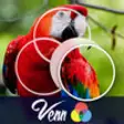 Icon of program: Venn Birds: Overlapping J…