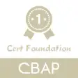 Icon of program: IIBA: CBAP Test Prep