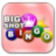Icon of program: Big Shot Bingo
