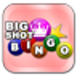 Icono de programa: Big Shot Bingo