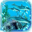 Icono de programa: Dolphins Sounds live wall…