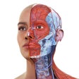 Complete Anatomy 2018 icon