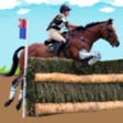 Icon of program: Steeplechase