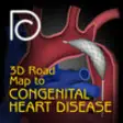 Icon of program: 3D Road Map to Congenital…