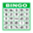 Icono de programa: Bingo Caller