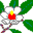 Icon of program: Photo Crop Editor
