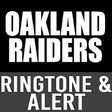 Icon of program: Oakland Raiders Theme Rin…