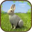 Icon of program: Extreme Rabbit 3D Simulat…