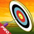 Icon of program: Archery Shooter Ambush PR…
