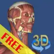 Icon of program: 3D Bones and Organs (Anat…