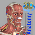 Icon of program: 3D Bones and Organs (Anat…