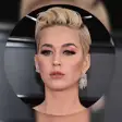 Icon of program: Katy Perry Quotes