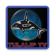 Icon of program: TulalipTV