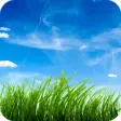 Icon of program: Grass Full HD Wallpaper