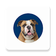 Icon of program: Yale Trail