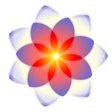 Icon of program: Top Draw