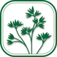 Icon of program: Idaho Plants