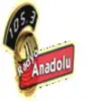 Icon of program: Radyo Anadolu