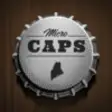 Icon of program: Maine Micro Caps