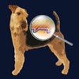 Icon of program: Virbac-Derm Diag