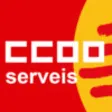 Icon of program: CCOO Serveis