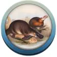 Icon of program: Field Guide to NSW Fauna
