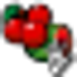 Icono de programa: Ace Roller Slots