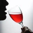 Icon of program: Wine Search - A Wine Look…