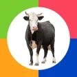Icon of program: Preschool Games - Farm An…