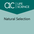 Icon of program: Natural Selection