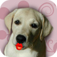 Icon of program: Puppy Kisses