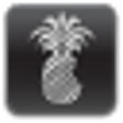 Icon of program: redsn0w