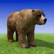 Icon of program: Bear Simulator 3D Madness