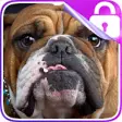 Icon of program: Bulldog Lock Screen