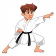Icon of program: Karate Basics