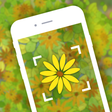 Icon of program: Garden Flower Identificat…
