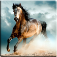 Icon of program: Horses Video Live Wallpap…