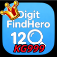 Icon of program: KG999 DigitFindHero