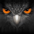 EagleEyes-plus icon