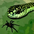 Icon of program: Tarantula vs Snake