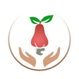 Icono de programa: Cashew Protect