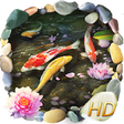 Icono de programa: Koi Fish Live Wallpaper