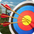Icon of program: Archery Master 3D