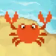 Icon of program: Circle Crab