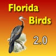 Icon of program: Birds - Common Species of…